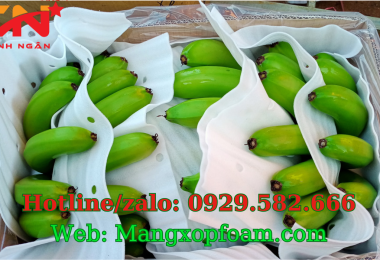 MÀNG XỐP FOAM BỌC LÓT TRÁI CÂY GIÁ RẺ TẠI ĐỒNG NAI – THANH NGÂN NHẬN CẮT THEO QUY CÁCH, KÍCH THƯỚC YÊU CẦU- 0929.582.666